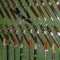 Highly Valuable     WW2 Militaria